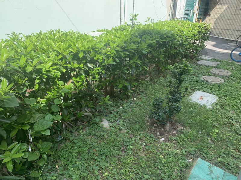 西泥路95弄小区 