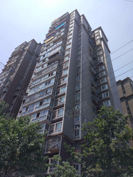 合力达映日荷花