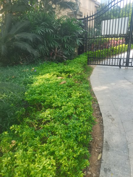 鸿森大厦,黄埔东路3503号-广州鸿森大厦二手房,租房,房价-广州安居客