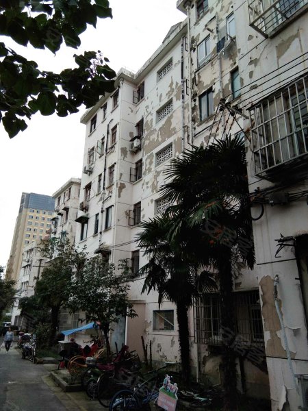 虹梅路2986弄小区 