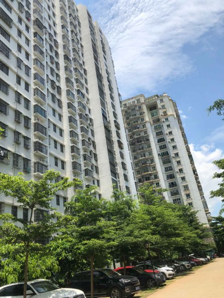 金环大厦,金鼎路-海口金环大厦二手房,租房,房价-海口安居客