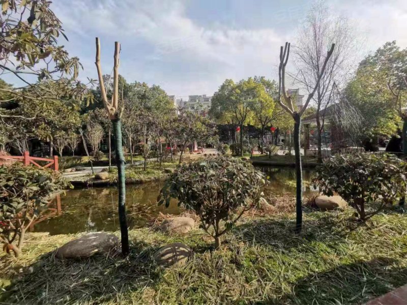 上海大花园,经四路-阜阳上海大花园二手房,租房,房价-阜阳安居客