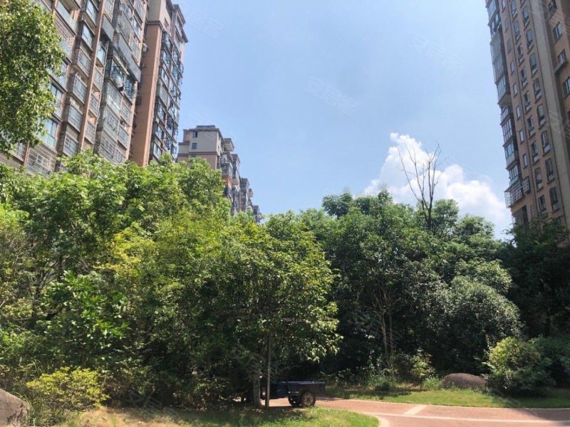 米兰春天,凤凰中大道99号-上饶米兰春天二手房,租房,房价-上饶安居客