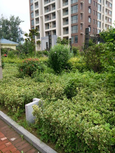 尚景嘉园,甜水河路-青岛尚景嘉园二手房,租房,房价-青岛安居客