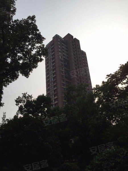 宝山金地艺境(公寓住宅) 