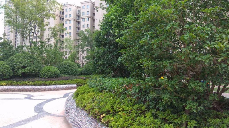 洲岛家园悦江苑