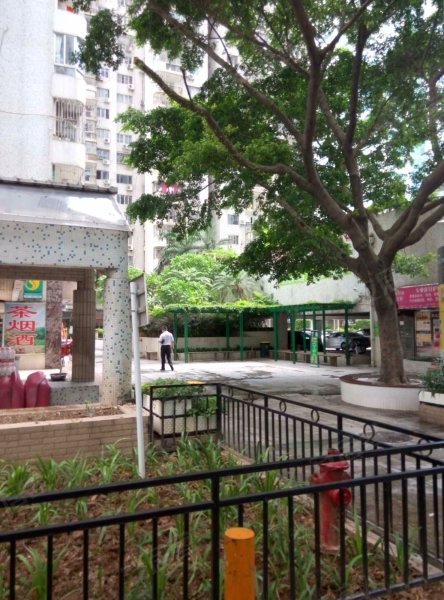 万景花园,滨河大道5016号-深圳万景花园二手房,租房,房价-深圳安居客