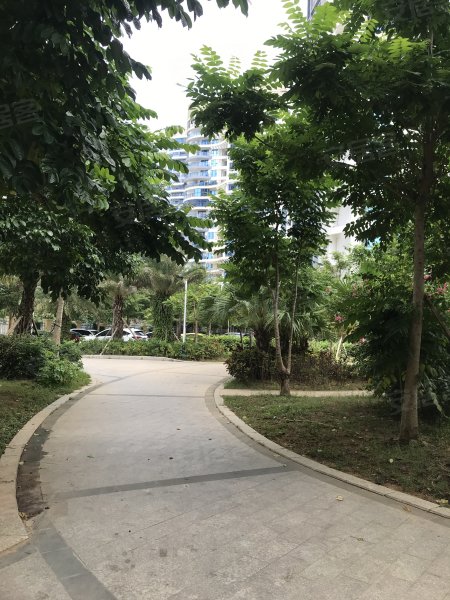 美丽沙蓝色海岸