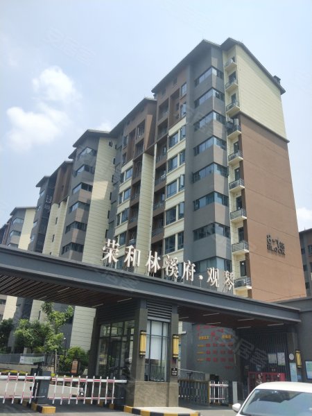 荣和林溪府观琴