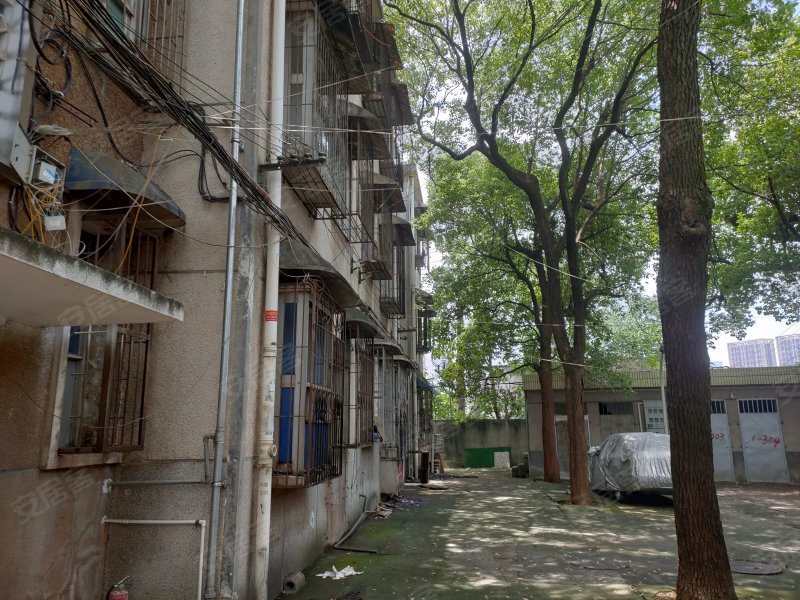 树木岭变电站宿舍,正圆巷-长沙树木岭变电站宿舍二手房,租房,房价