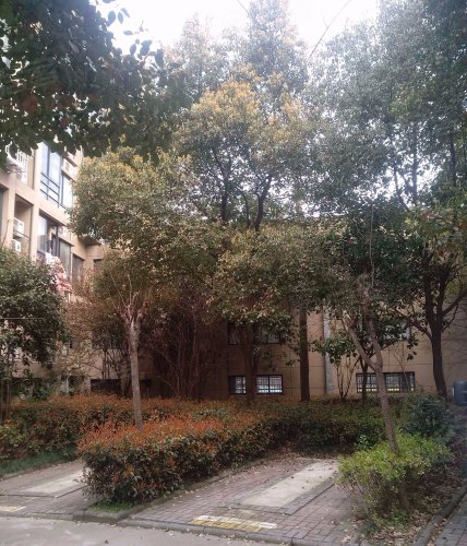 亲亲家园(海宁),双联路16号 - 海宁亲亲家园(海宁)二手房,租房,房价