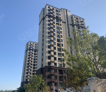 大洪佳苑 高楼层采光充足 产权清晰 近地铁 南北通透