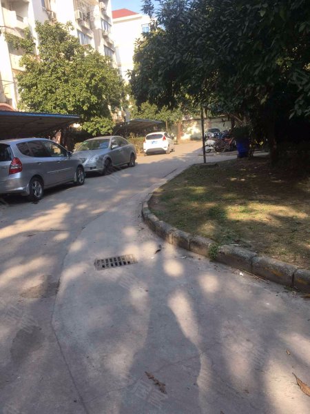 大上海国际花园伊甸园 