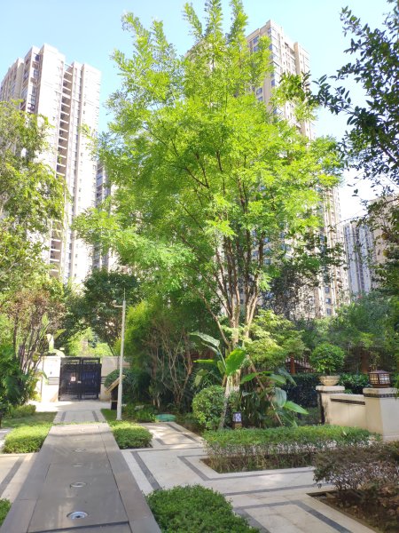 金辉城耀江府(别墅)