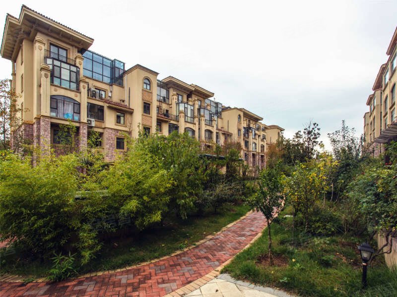 唐岛金湾(别墅)