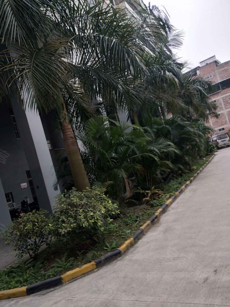 金水湾花园南区,鲁班南路-南宁金水湾花园南区二手房,租房,房价-南宁