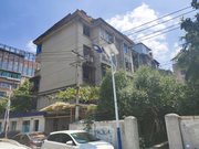 117地质队小区图片