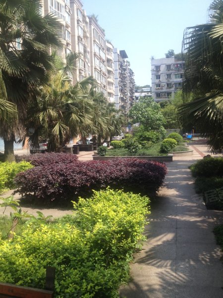 松藻小区(a区),烟雨堡46号-重庆松藻小区(a区)二手房,租房,房价-重庆