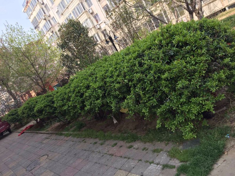 海滨广场小区,重庆南路41号-青岛海滨广场小区二手房,租房,房价-青岛