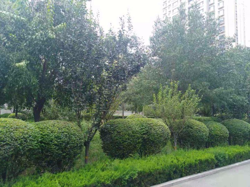 泰和华宇玉泉苑
