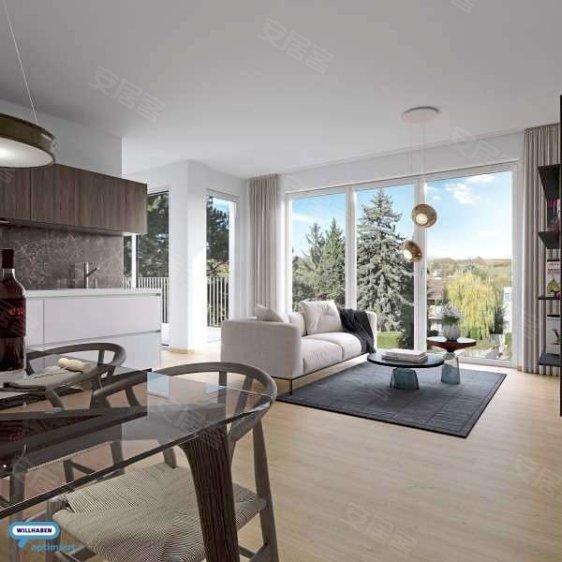 奥地利维也纳约¥550万AustriaViennaApartment出售二手房公寓图片