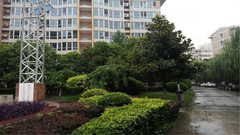 雅荷紫金阳光