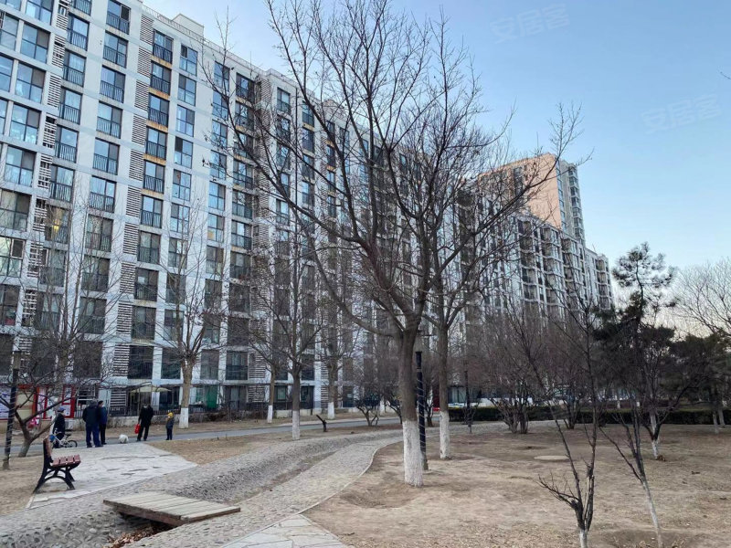 柏林爱乐(四期)