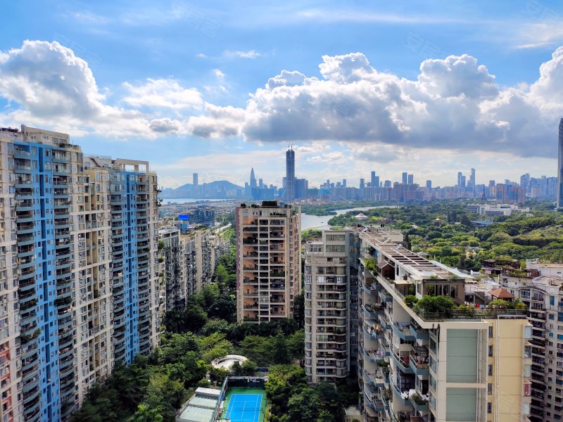 碧海云天(二期),白石路68号-深圳碧海云天(二期)二手房,租房,房价