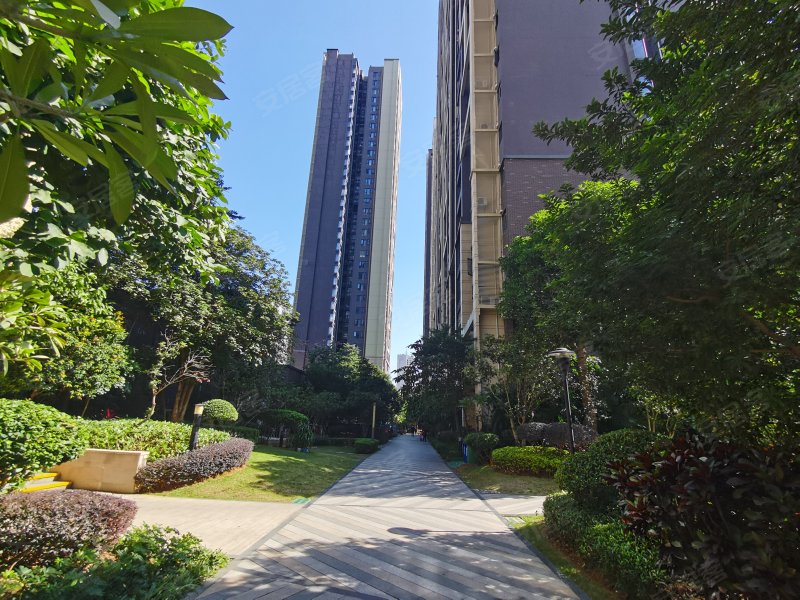 大唐果,相贤路37号-南宁大唐果二手房,租房,房价-南宁安居客