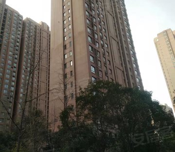 锦艺国际华都美域