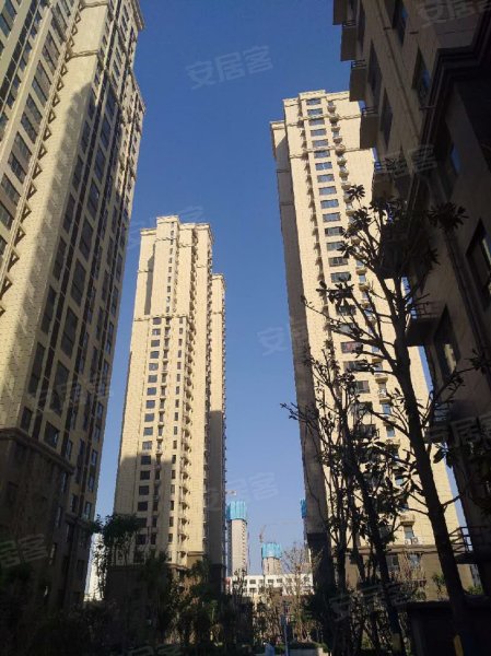 汉光华府,中华北大街315号-邯郸汉光华府二手房,租房,房价-邯郸安居客