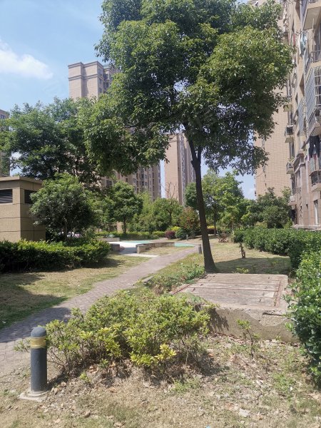 美罗家园润苑,年吉路650弄-六安美罗家园润苑二手房,租房,房价-六安