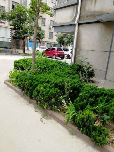 文化小区(河东)