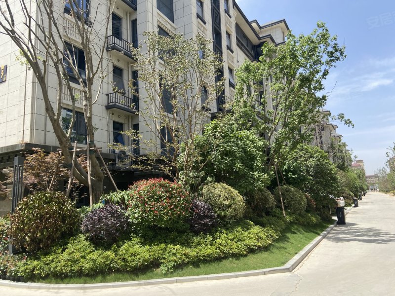 金沙国安府,学苑路-商丘金沙国安府二手房,租房,房价-商丘安居客