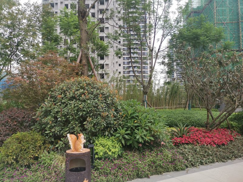 金府名门,阜成路东段-眉山金府名门二手房,租房,房价-眉山安居客