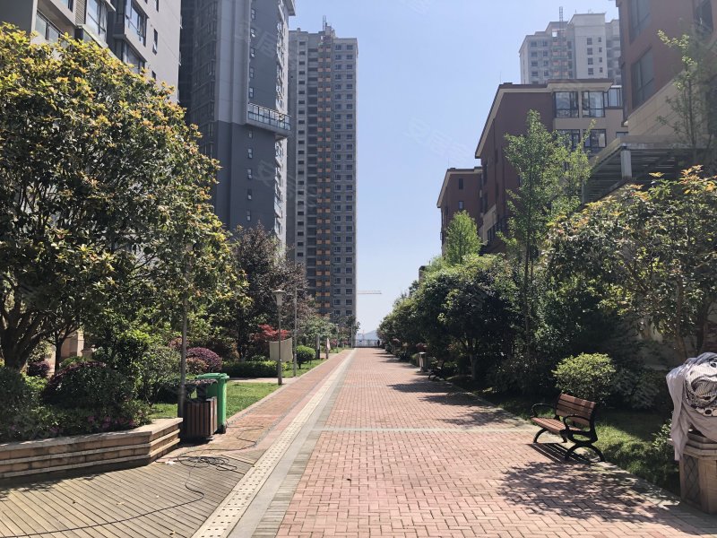 金龙星岛国际,北京西路-贵阳金龙星岛国际二手房,租房,房价-贵阳安居