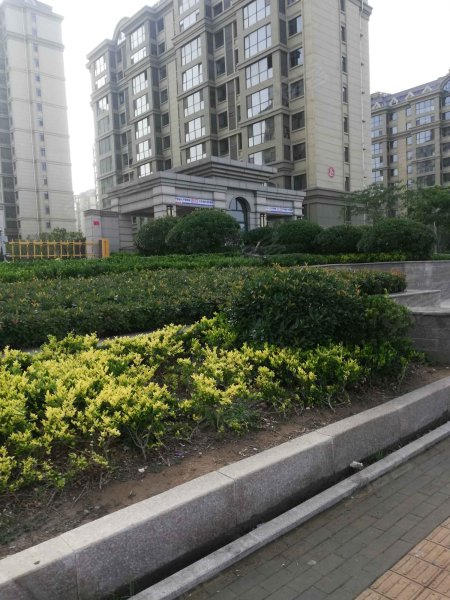 德馨花园,天罡路,近浒源路-梁山德馨花园二手房,租房,房价-梁山安居客