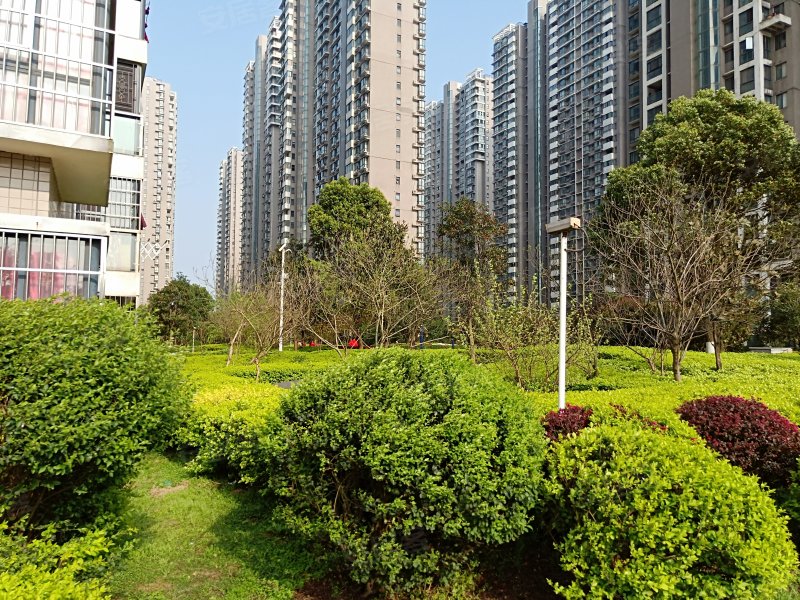 湘江世纪城豪江苑