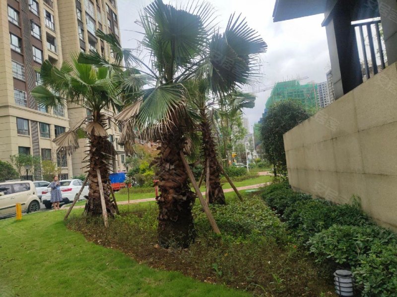 潼南观澜华府,向阳路,近莲花西路-重庆潼南观澜华府二手房,租房,房价