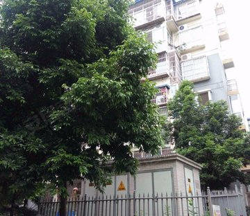 怡和新城a1区 地铁口旁 中间楼层 随时看房 保养好 急售的