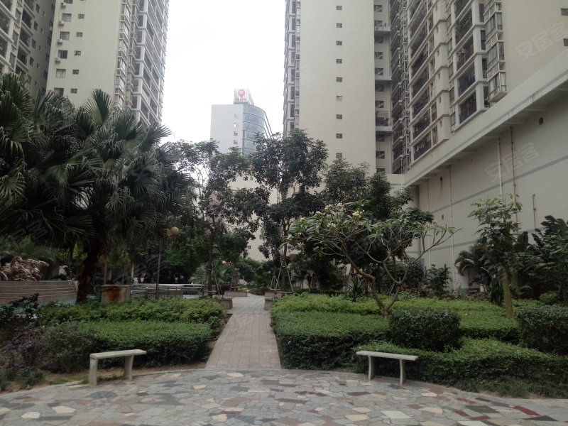 兴华广场,海北路11-31号-湛江兴华广场二手房,租房,房价-湛江安居客