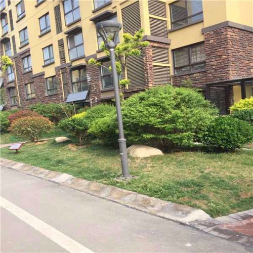 花千树,贯中大道 - 东平花千树二手房,租房,房价-东平安居客
