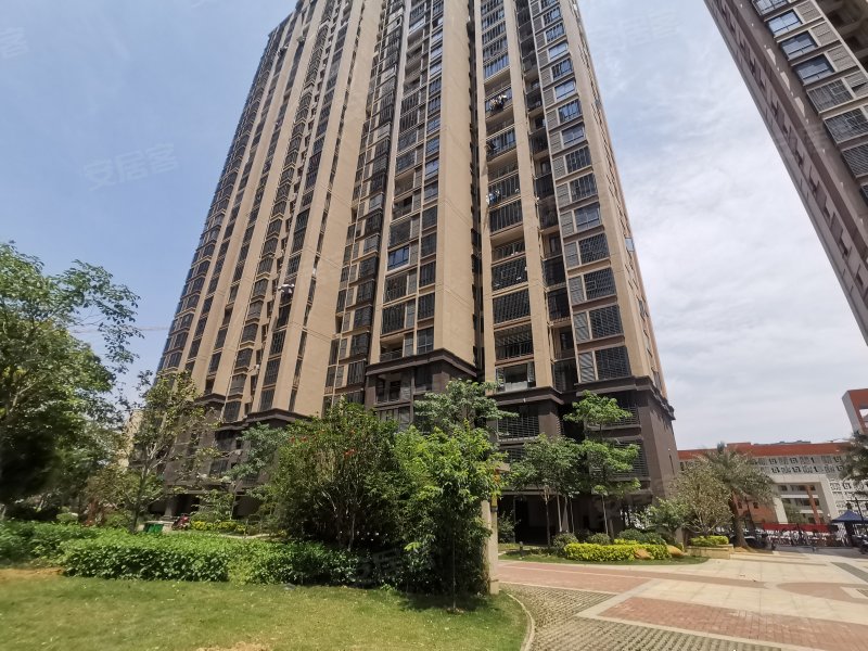 紫金莲园,五星路1号-龙岩紫金莲园二手房,租房,房价-龙岩安居客