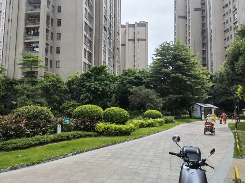 永鸿国际文化城,南一环路,近东一环路-莆田永鸿国际文化城二手房,租房
