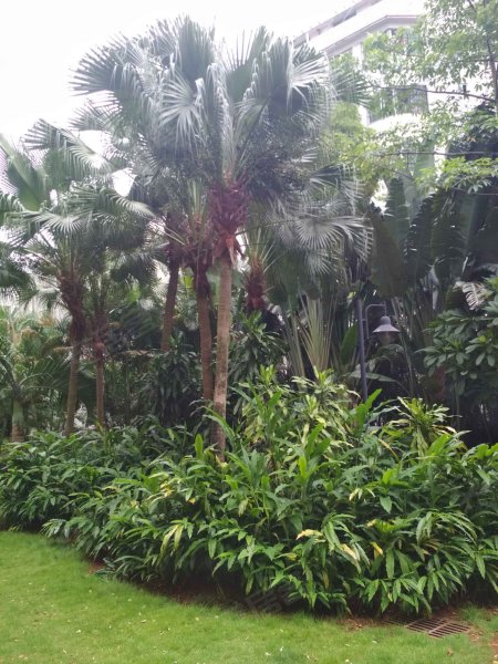 橡树园,文明东路46号-海口橡树园二手房,租房,房价-海口安居客