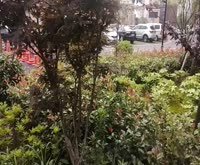 金海华城康平佳苑