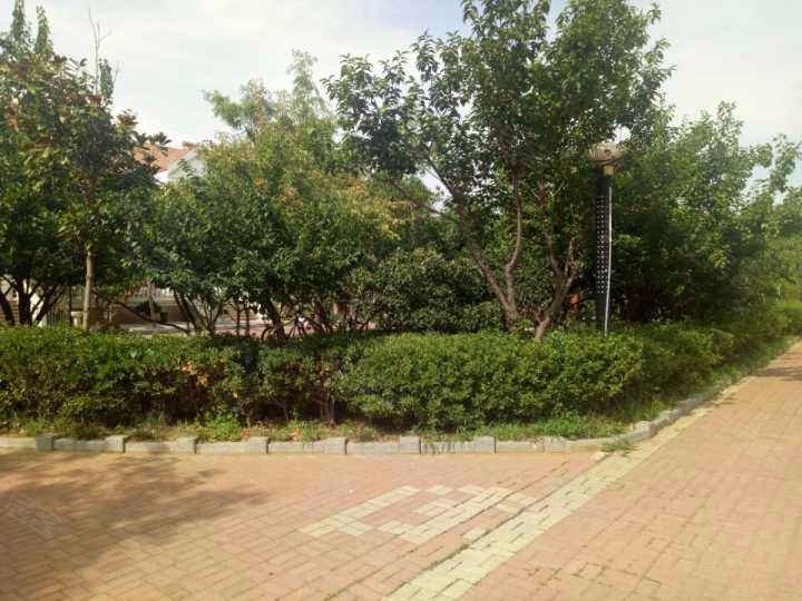 宏远金田花园,重庆路1号