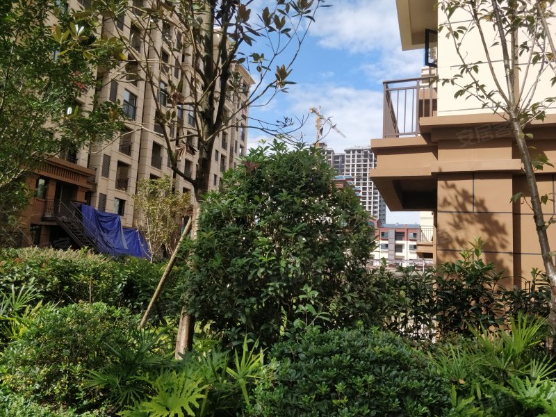 林达阳光城二期(绥阳),雅泉大道-遵义林达阳光城二期(绥阳)二手房