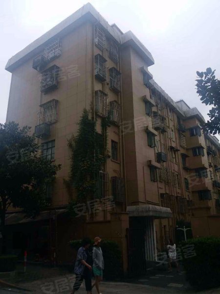 玉兰路71弄小区 