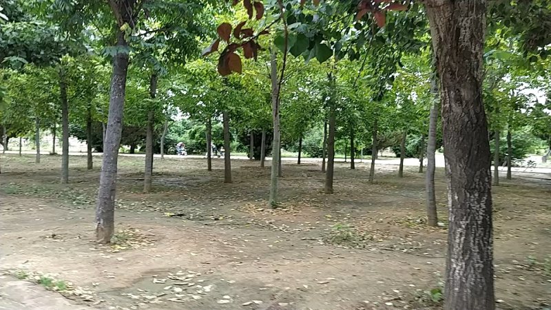 济东新村,渭河路-济宁济东新村二手房,租房,房价-济宁安居客